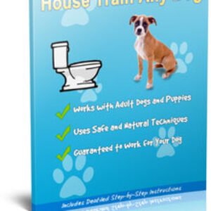 How To Housetrain & Potty Train Any Dog