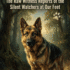 Puppy Witching Hour: Why Puppies Get Crazy at Night (2026)