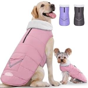 iBuddy Dog Winter Coats with Fleece Vest,Waterproof Warm Dog Snow Jacket Windproof, Reflective Adjustable Pet Dogs Cold Winter Coat for Dogs Girl Boy