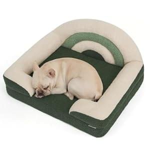 Blissful Diary Foam Dog Bed Medium Size, Pet Sofa with Washable Cover and Waterproof Liner, Soft Teddy Plush with Rainbow Design (Green)