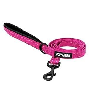 Voyager Reflective Dog Leash with Neoprene Handle, 5ft Long, Supports Small, Medium, and Large Breed Puppies, Cute and Heavy Duty for Walking, Running, and Training – Fuchsia (Leash), S