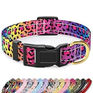 Reflective Dog Collar for Small Dogs Cats, Cute Leopard Style Adjustable Heavy-Duty Nylon Puppy Collar for Boy and Girl Female, Soft Pet Accessories with Quick Release Buckle, Neon