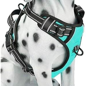 PoyPet No Pull Dog Harness, Reflective Comfortable Vest Harness with Front & Back 2 Leash Attachments and Easy Control Handle Adjustable Soft Padded Pet Vest for Small Medium Large Dogs (Mint Blue,M)