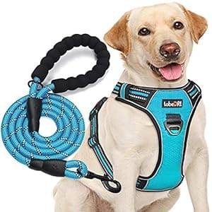 No Pull Dog Harness Adjustable Reflective Oxford Easy Control Medium Large Dog Harness with A Free Heavy Duty 5ft Dog Leash (L (Neck: 18″-25.5″, Chest: 24.5″-33″), Blue Harness+Leash)