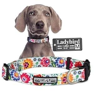 Lucky Love Dog – Adjustable Dog Collar with Easy Click Buckle for Small to Large Dogs, Durable, & Comfortable Collar for Male & Female Dogs, Pet Collar for Puppies & Adult Dogs – Ladybird, Medium