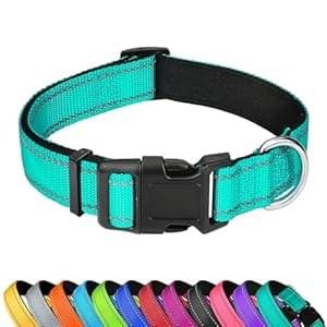 Reflective Dog Collar, Adjustable Soft Neoprene Padded Nylon Pet Collars with Buckle for Medium Dogs, Teal,M