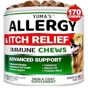 Dog Allergy Relief Chews – Dog Itching Skin Relief Treatment Pills – 170 Treats – Anti-Itch – Itchy and Paw Licking – Hot Spots – Omega 3 Fish Oil – Dry Skin & Coat Supplement – Beef Liver Flavor