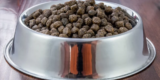 What Food Bowls Are Best for Large Dogs?