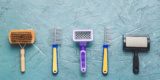 What Grooming Tools Are Essential for Long-Haired Dogs?