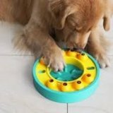 Big Dog Puzzle Toys: Mental Enrichment That Actually Works