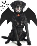 Large Dog Halloween Costumes: Spooky Season Fun